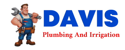 Trusted plumber in D HANIS